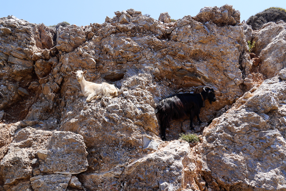Kozy na Amorgos
