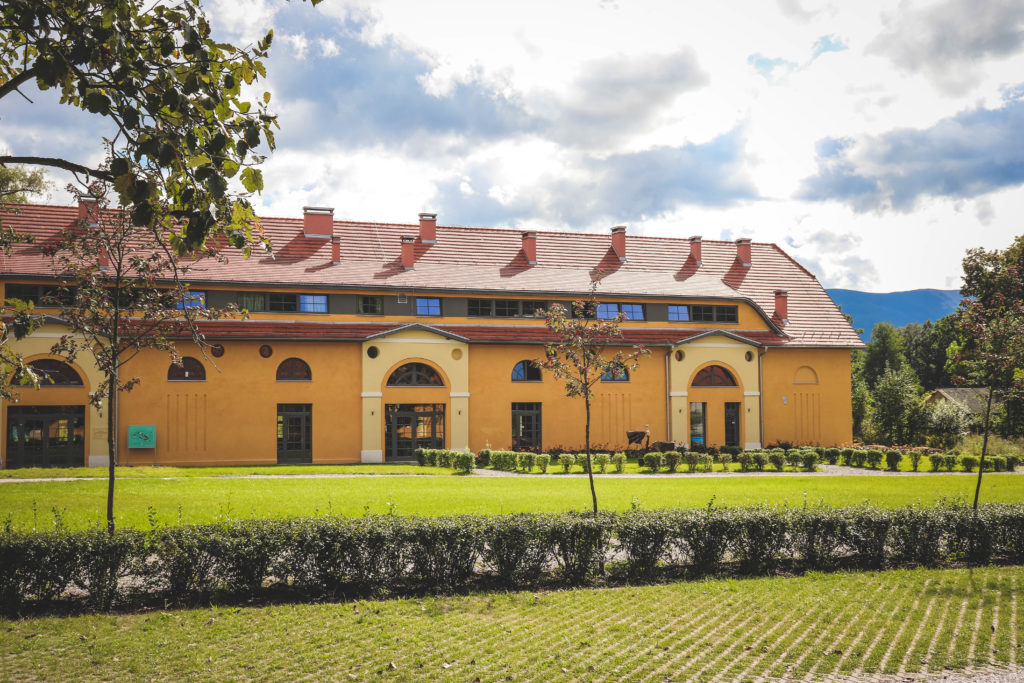 Pałac w Bukowcu zwiedzanie