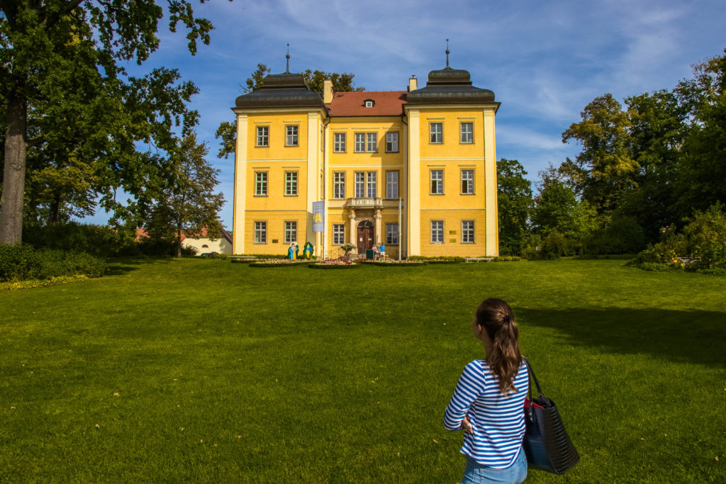 Pałac w Łomnicy - zwiedzanie